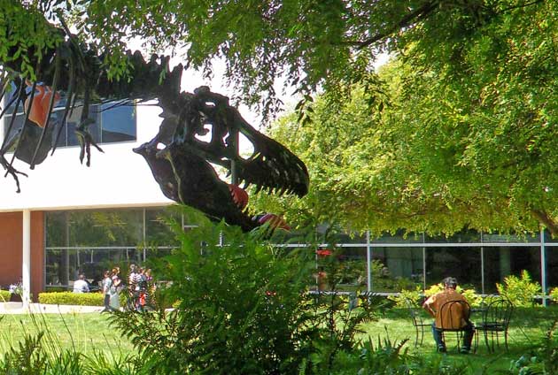 Tiranossauro Rex Tiranossauro Rex