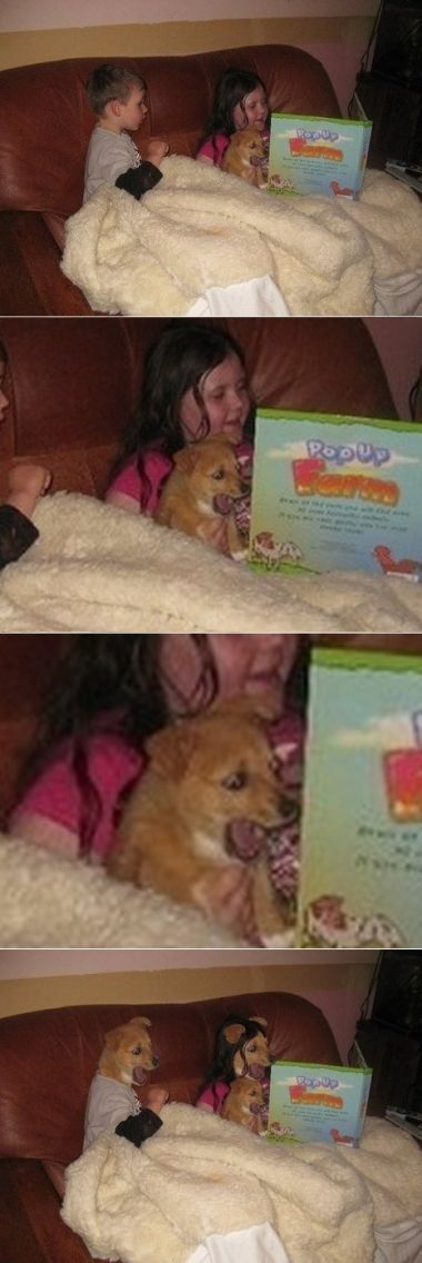 Tenso Tenso
